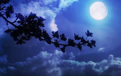 Serene Night Vibrant Blue Moon Space Wallpaper 4K 1920x1201 A, Serene, Night, Scene, Featuring, Vibrant, Blue, Moon, Luminous, Stars, Fluffy, Clouds, Brown, Pink, White, Ultrawide, Full HD