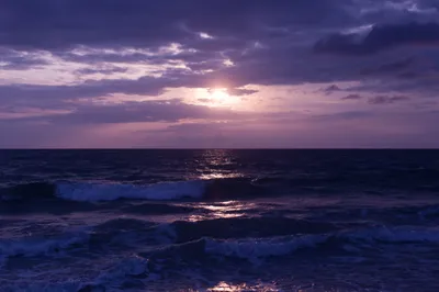 General Wallpaper 5470x3646 Nature Wallpaper 4K 5470x3646 Purple-hued, Ultrawide, 4k