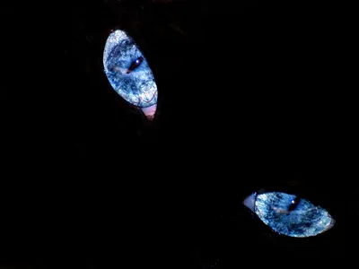 Dark Two Glowing Wallpaper 4K, Black/Dark category
