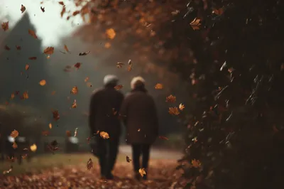 Romantic Sensitive Fall Nature Wallpaper 4K 2208x1471 Full HD, Ultrawide