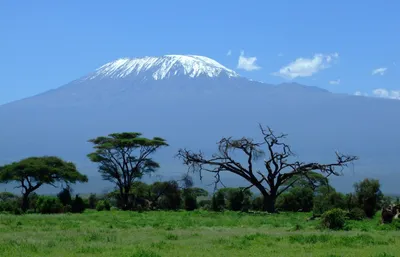 Mount Kilimanjaro Africa Nature Wallpaper 4K 2846x1830 Snow-capped, Peak, Ultrawide, QHD