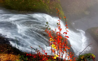 General Wallpaper 1918x1198 Nature Wallpaper 4K 1918x1198 Ultrawide