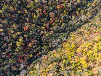 General Wallpaper 1994x1494 Nature Wallpaper 4K 1994x1494 Full HD, Landscape
