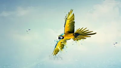 Anime Wallpaper 1918x1078 Abstract Wallpaper 4K 1918x1078 Ultrawide