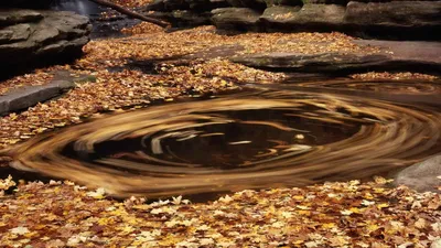 General Wallpaper 1918x1078 Nature Wallpaper 4K 1918x1078 Ultrawide