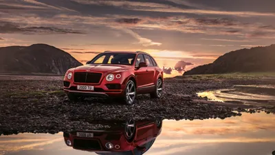 Bold Bentley Wallpaper Wallpaper 4K, Nature category
