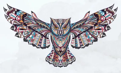 Beautifully Detailed Multicolored Owl Illustration Abstract Wallpaper 4K 3825x2298 Ultrawide, QHD