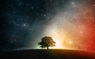 General Wallpaper 1918x1198 Nature Wallpaper 4K 1918x1198 Tree, Ultrawide