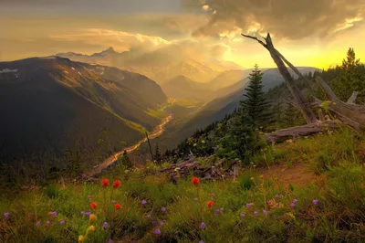 Sunrise Breathtaking Landscape Vibrant Flowers Nature Wallpaper 4K 1998x1331 Full HD, Ultrawide