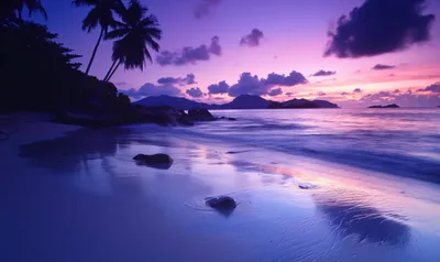 General Wallpaper 2208x1314 Nature Wallpaper 4K 2208x1314 Purple-tinted, Full HD, Ultrawide