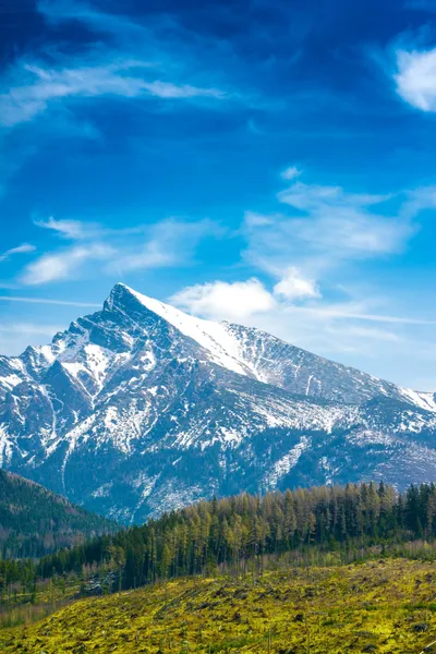 General Wallpaper 2208x3313 Nature Wallpaper 4K 2208x3313 Peak, Full HD, Portrait