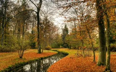 Misty Serene Wallpaper Nature Wallpaper 4K 2560x1600 Hd, Pc, Desktop, Wallpaper, Showcasing, A, Serene, Fall, Landscape, Winding, Stream, Bare, Orange, Gray, Brown, Ultrawide, QHD