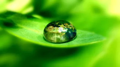 Dark Close Wallpaper Nature Wallpaper 4K 1920x1080 A, Close-up, Of, Water, Droplet, Resting, On, Lush, Green, Leaf, Showcasing, Beauty, Red, Ultrawide, Full HD