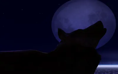 Bold Silhouetted Wallpaper Animals Wallpaper 4K 1920x1200 Silhouetted, Wolf, Howling, Against, A, Dark, Blue, Twilight, Sky, Large, Full, Moon, Ultrawide, Full HD