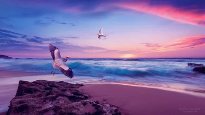 General Wallpaper 1918x1078 Animals Wallpaper 4K 1918x1078 Ultrawide