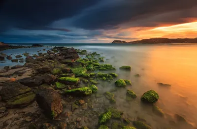 General Wallpaper 2046x1343 Nature Wallpaper 4K 2046x1343 Golden-orange, Full HD, Ultrawide