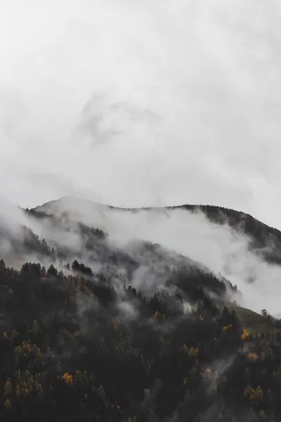 Mountain Range Forest Wallpaper 4K, Nature category