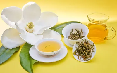 Delicate White Flower Nature Wallpaper 4K 1918x1198 Tea, Ultrawide