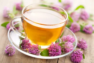 General Wallpaper 8734x5822 Nature Wallpaper 4K 8734x5822 Tea, Ultrawide, 4k