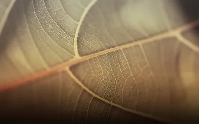 Sleek Definition Wallpaper Wallpaper 4K, Abstract category