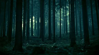 Sleek Dark Wallpaper Wallpaper 4K, Black/Dark category