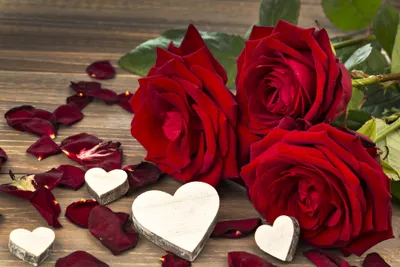 Three Vibrant Red Roses Wallpaper 4K, Abstract category