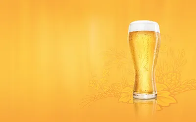 Tall Glass Cold Beer Abstract Wallpaper 4K 1918x1198 Beer, Ultrawide