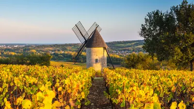 Man Vineyard Landscape Sun Rays Nature Wallpaper 4K 3838x2158 Man-made, Ultrawide, QHD