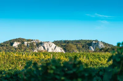 Vineyards Lava Rocks South Abstract Wallpaper 4K 2208x1471 View, Full HD, Ultrawide