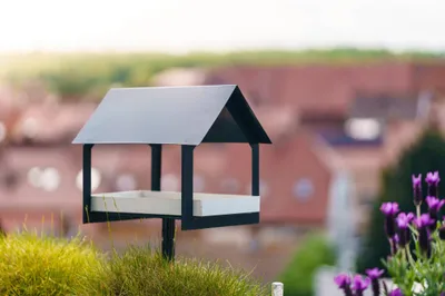 Birdhouse Terraced Animals Animals Wallpaper 4K 2208x1471 Full HD, Ultrawide