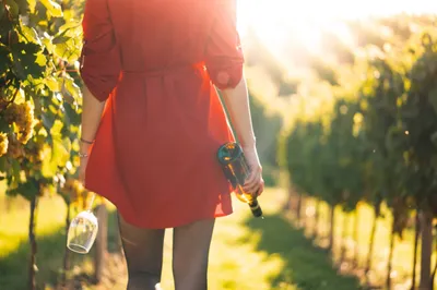 Woman Red Dress Walking Vineyard Abstract Wallpaper 4K 2208x1471 Full HD, Ultrawide