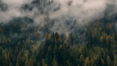 Vibrant Gray Wallpaper Wallpaper 4K, Nature category