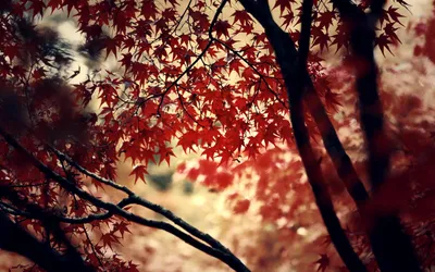 Anime Wallpaper 1918x1198 Abstract Wallpaper 4K 1918x1198 Ultrawide