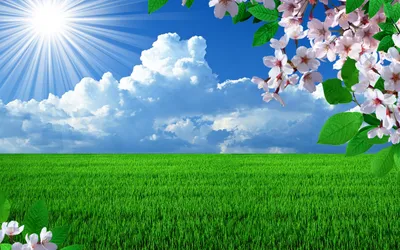 Crisp Vibrant Wallpaper Wallpaper 4K, Nature category