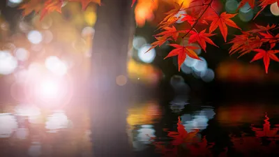 Anime Wallpaper 1918x1078 Abstract Wallpaper 4K 1918x1078 Ultrawide