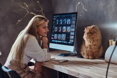 Sleek Woman Wallpaper Animals Wallpaper 4K 4000x2667 A, Woman, Model, Sits, At, Desk, Smiling, Fluffy, Cat, Beside, Ultra, Desktop, Gray, Landscape, 4K