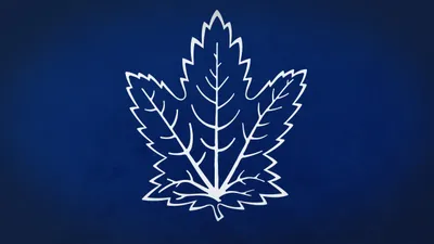 Toronto Maple Leafs Logo Abstract Wallpaper 4K 2558x1438 Leaf, Blue, Full HD, Ultrawide