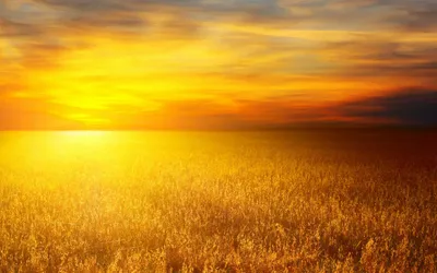 Breathtaking Sunset Golden Nature Wallpaper 4K 1918x1198 Ultrawide