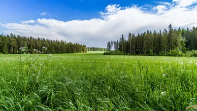 General Wallpaper 3838x2158 Nature Wallpaper 4K 3838x2158 Blue, Ultrawide, QHD