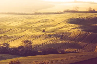 Hilly Fields Field Abstract Wallpaper 4K 2208x1471 Full HD, Ultrawide