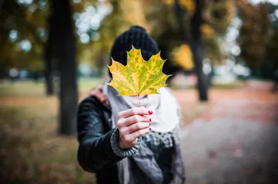 Young Girl Holding Autumn Nature Wallpaper 4K 2208x1471 Leaf, Full HD, Ultrawide