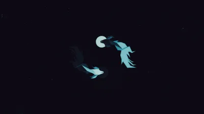 Bright Fish Wallpaper Wallpaper 4K, Minimal category