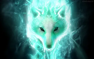 Sleek Fantasy Wallpaper Animals Wallpaper 4K 1920x1200 Hd, Fantasy, Desktop, Wallpaper:, Featuring, A, Glowing, Ethereal, Wolf, Spirit, Mystical, Otherworldly, White, Ultrawide, Full HD