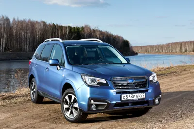Blue Subaru Forester Wallpaper 4K, Nature category
