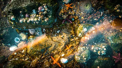 General Wallpaper 4606x2590 Space Wallpaper 4K 4606x2590 Pool, Ultrawide, 4k
