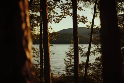 Pleasant Evening Lake Nature Wallpaper 4K 2208x1471 Tree, Full HD, Ultrawide