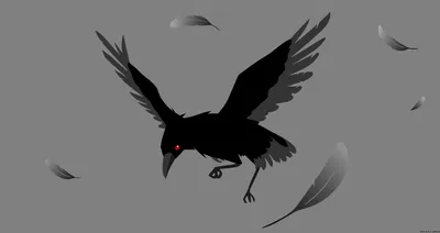 Vector Feather Crow Minimalist Minimal Wallpaper 4K 8500x4500 Vector, Feather, Crow, Minimalist, Animal, Artistic, Hd, Desktop, Gray, Black, Ultrawide, 4K