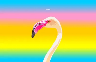 Minimalist Colorful Close Flamingo Bird Minimal Wallpaper 4K 3009x1964 Minimalist, Colorful, Hd, Pc, Desktop, Wallpaper, Featuring, A, Close-up, Flamingo, Bird, Against, Yellow, Purple, White, Ultrawide, QHD