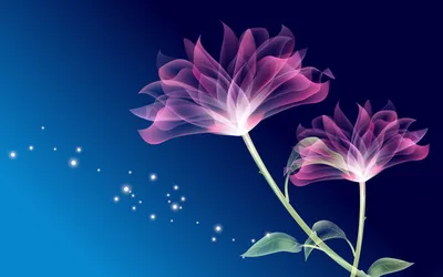 Calm Flower Wallpaper Wallpaper 4K, Nature category