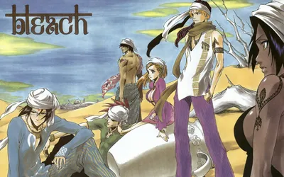 Dark Yoruichi Wallpaper Nature Wallpaper 4K 1920x1200 Hd, Desktop, Wallpaper, Featuring, Yoruichi, Shihôin, Yasutora, Sado, Shih, Uryu, Ishida, Orihime, White, Gray, Ultrawide, Full HD